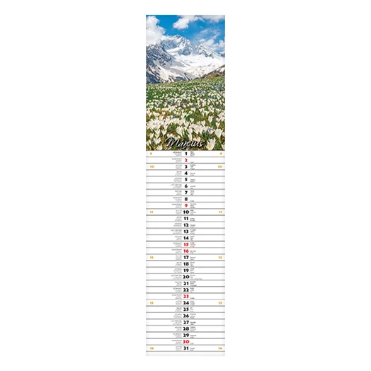 Falinaptár CSG 110x480mm álló Szép napot jegyzet 2025.