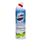 Fertőtlenítő DOMESTOS Protection 0% klór Eucalyptus & Wild Mint 700ml