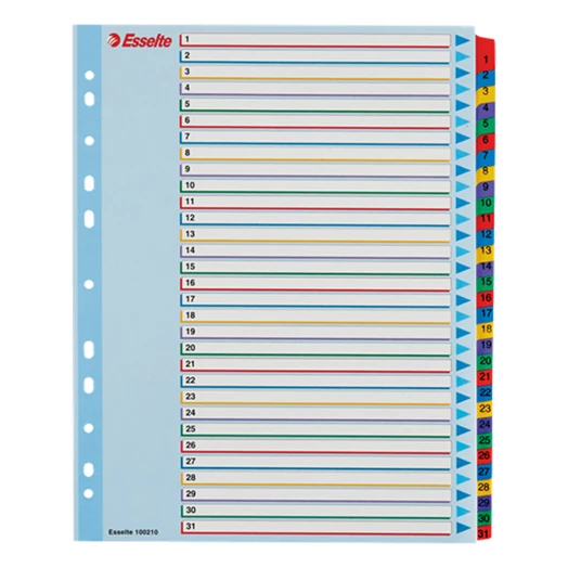 Regiszter ESSELTE A/4 maxi laminált karton újraírható 1-31