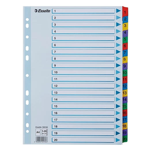 Regiszter ESSELTE Mylar A/4 laminált karton 1-20